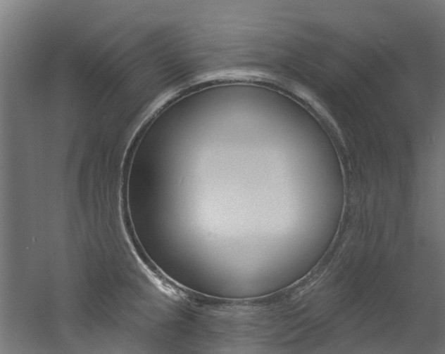 X0000060791237200511101026