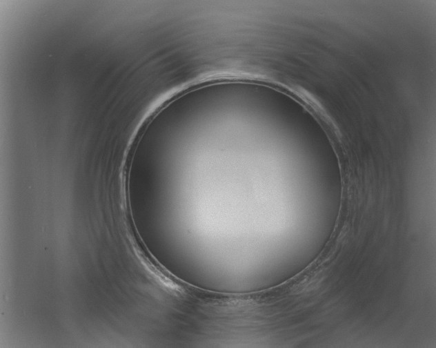 X0000060791238200511101026