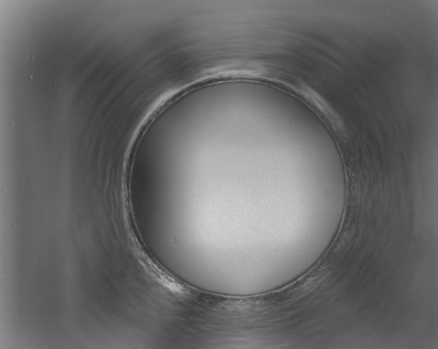 X0000060791240200511101026