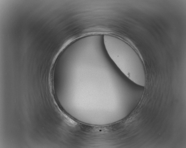 X0000060791243200511101026