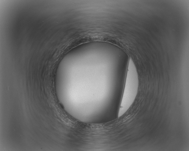 X0000060791249200511101025