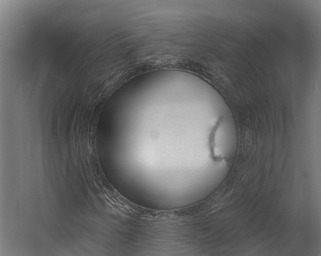 X0000060791250200511101025