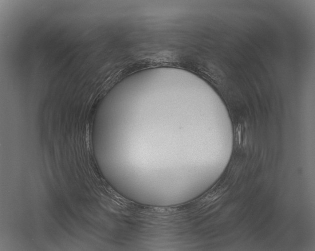 X0000060791251200511101025