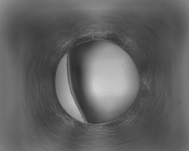X0000060791252200511101025