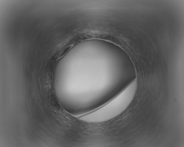 X0000060791253200511101025