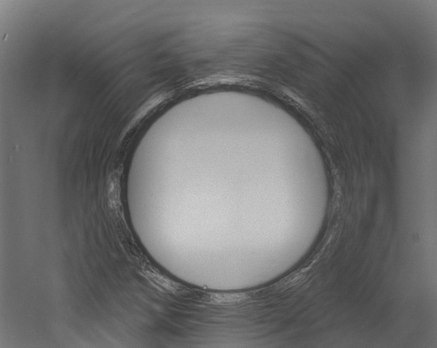 X0000060791258200511101025