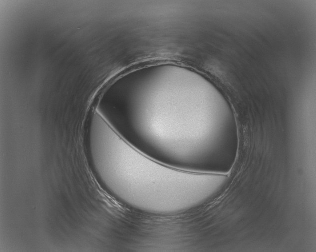 X0000060791260200511101025