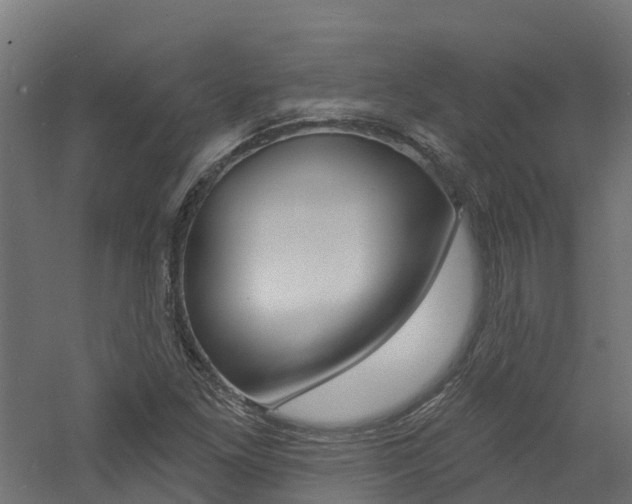 X0000060791261200511101025