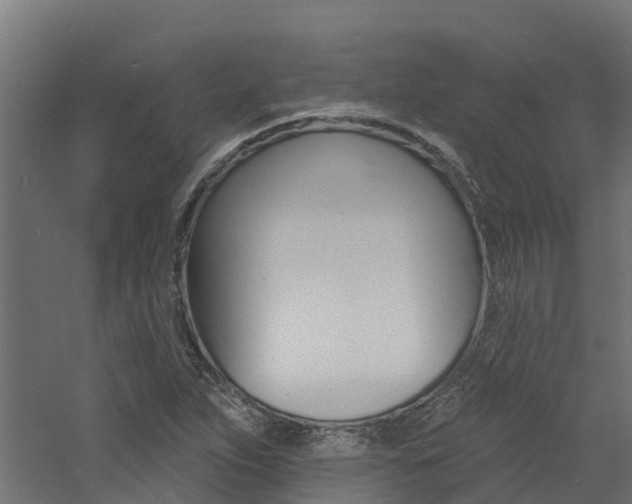 X0000060791263200511101025