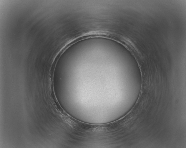 X0000060791268200511101025