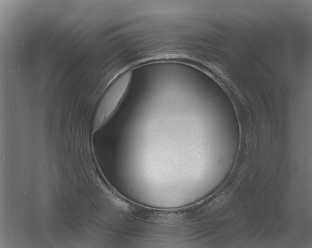X0000060791273200511101025