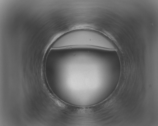 X0000060791277200511101025