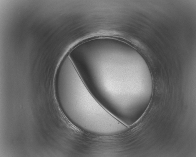 X0000060791280200511101025