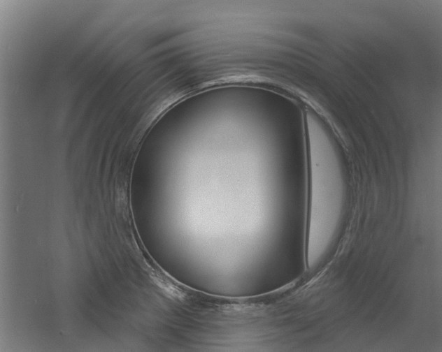 X0000060791281200511101025