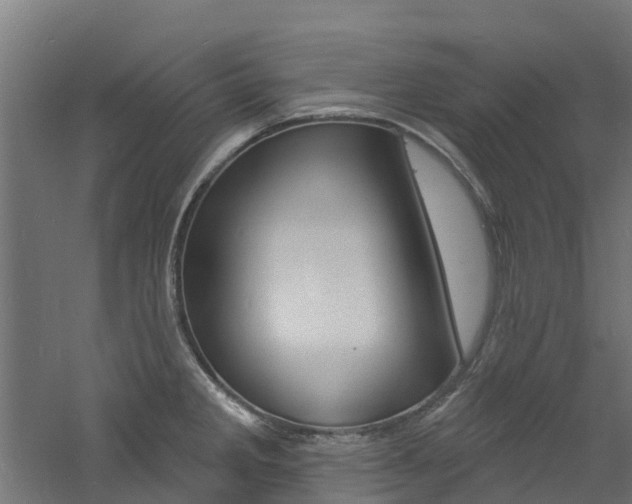 X0000060791285200511101024