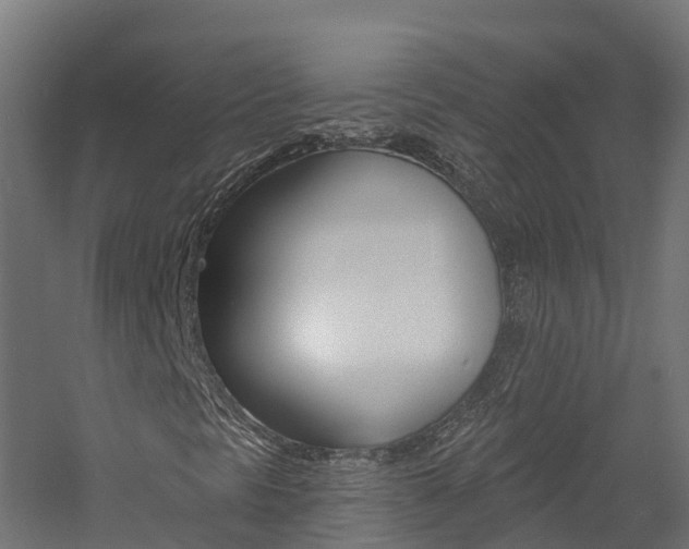 X0000060791297200511101023