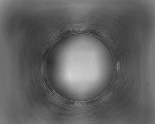 X0000060791299200511101023