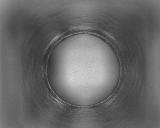 X0000060791306200511101024
