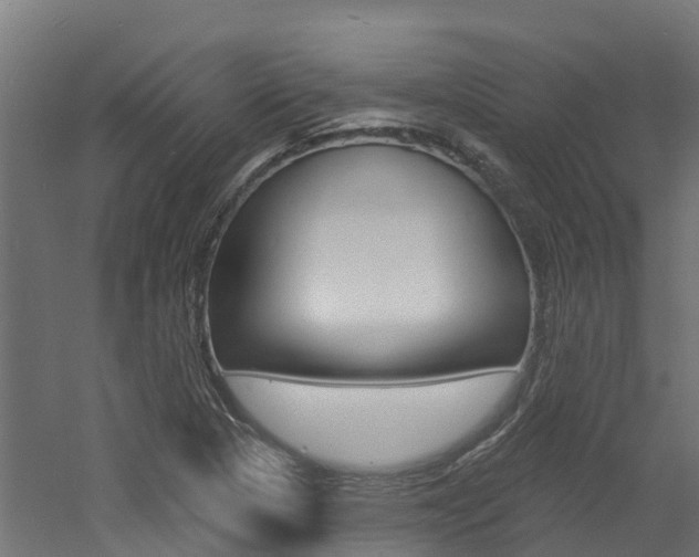 X0000060791313200511101024