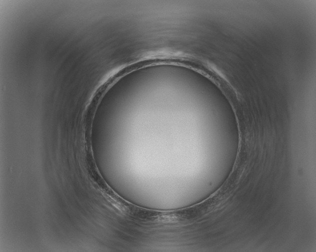 X0000060791315200511101024