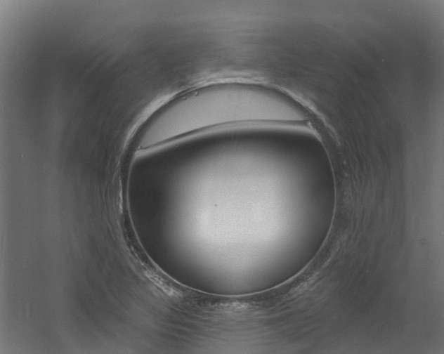 X0000060791317200511101024