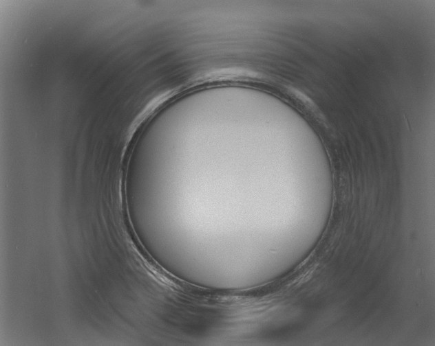 X0000060791322200511101024