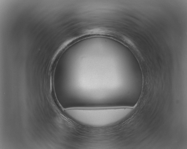 X0000060791323200511101024