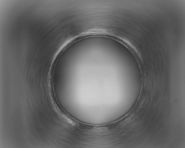 X0000060791325200511101024