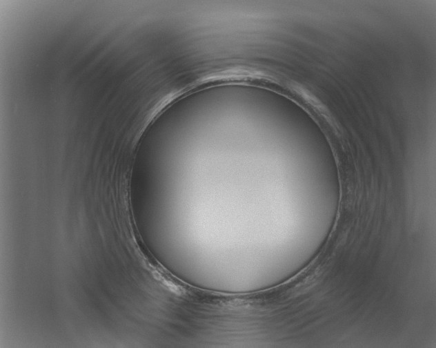 X0000060791329200511101024