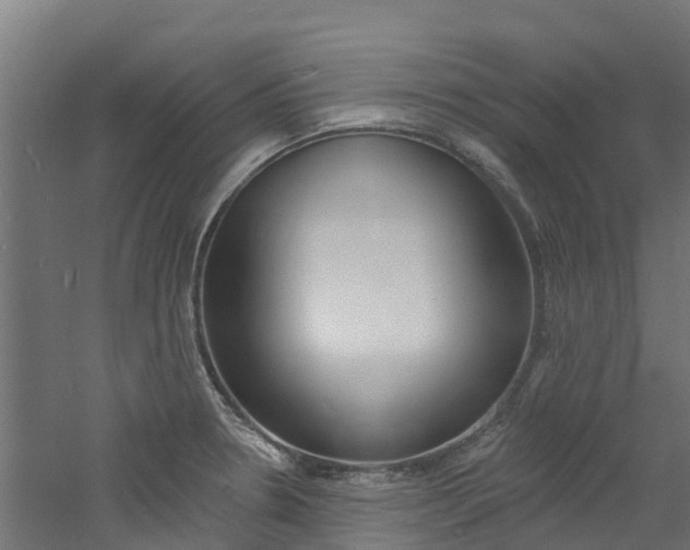 X0000060791330200511101024