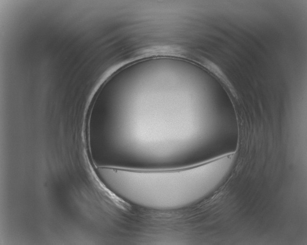 X0000060791339200511101024