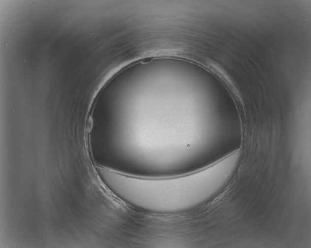 X0000060791340200511101024