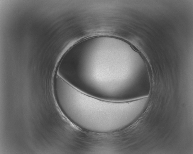 X0000060791341200511101024