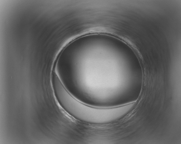 X0000060791342200511101024