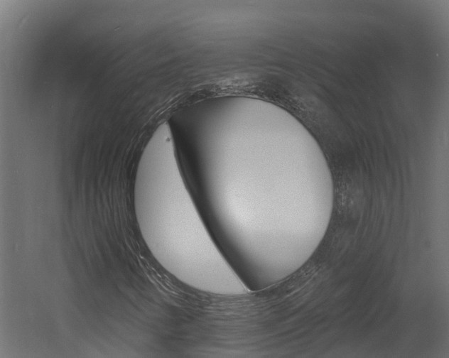 X0000060791346200511101023