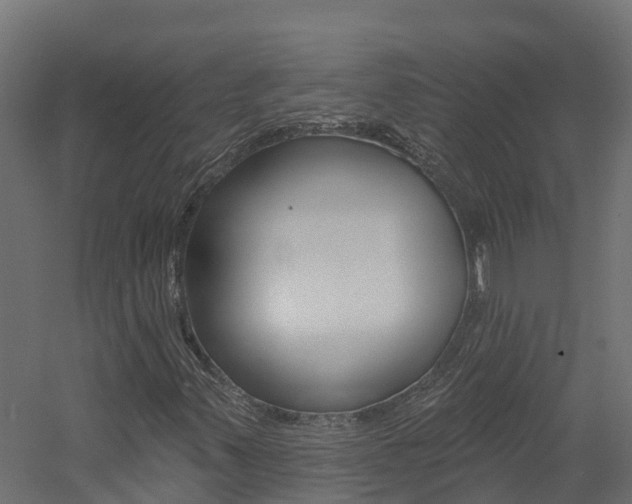 X0000060791347200511101023
