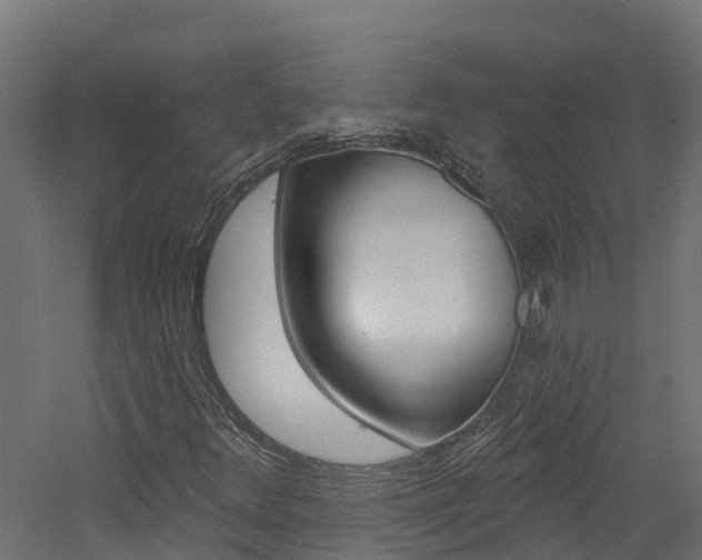 X0000060791348200511101023