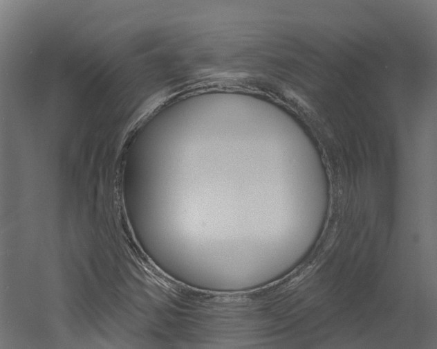 X0000060791354200511101023