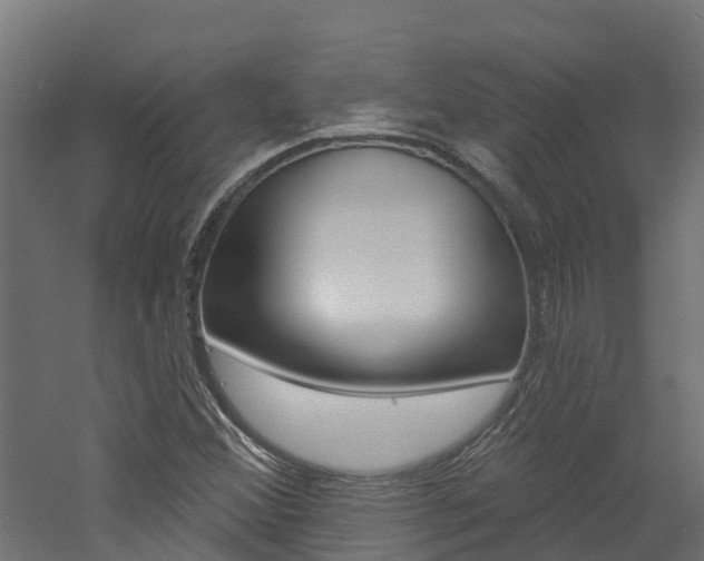 X0000060791356200511101023