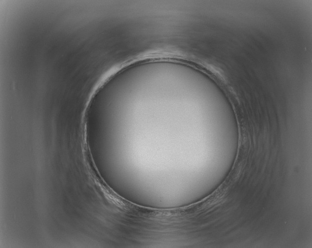 X0000060791366200511101023
