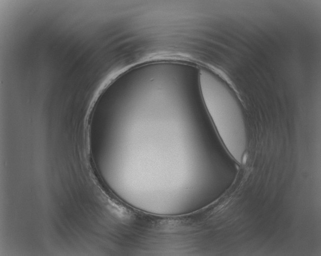 X0000060791371200511101023