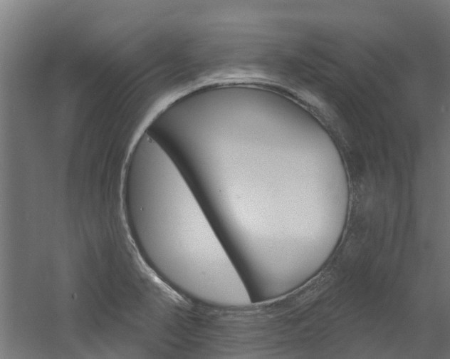 X0000060791374200511101023