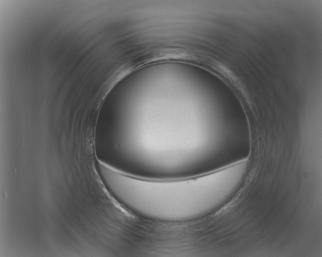 X0000060791377200511101023