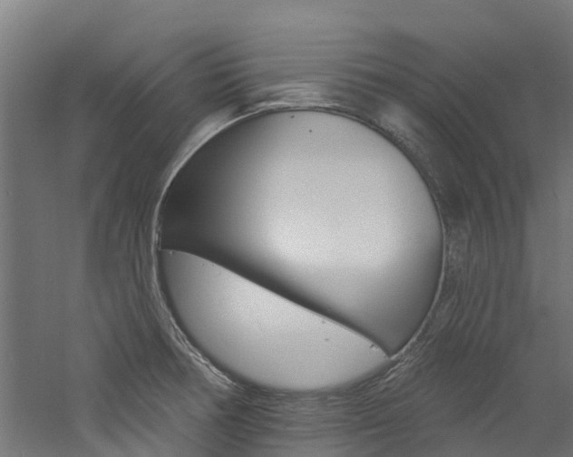 X0000060791378200511101023