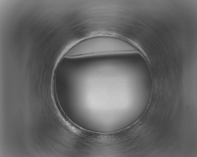 X0000060791379200511101023