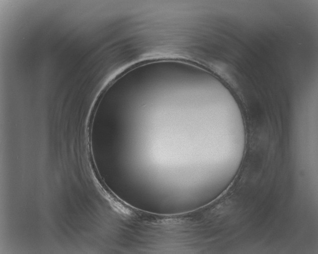 X0000060791380200511101023