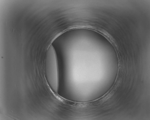 X0000060791385200511101023