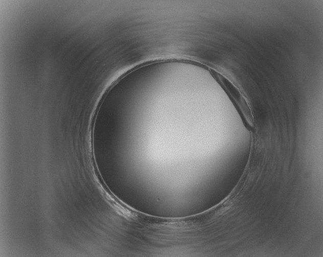 X0000060791388200511101023