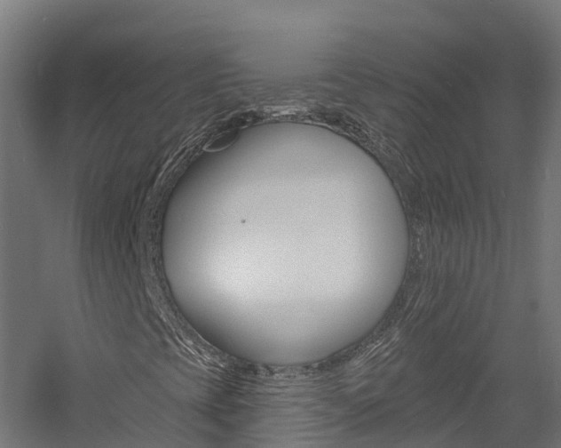 X0000060791393200511101022