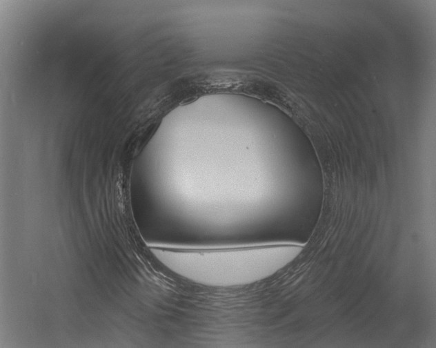 X0000060791394200511101022